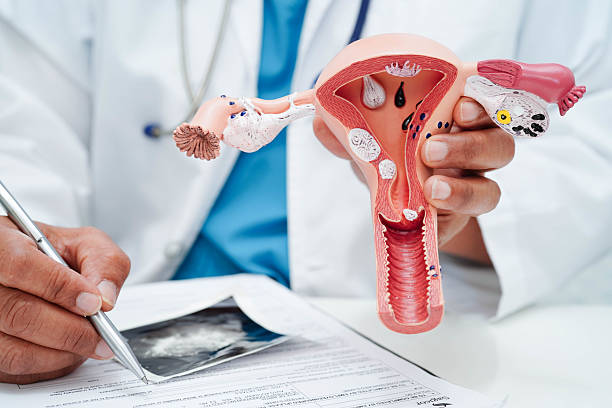 best gynaecological cancer doctor in navi mumbai